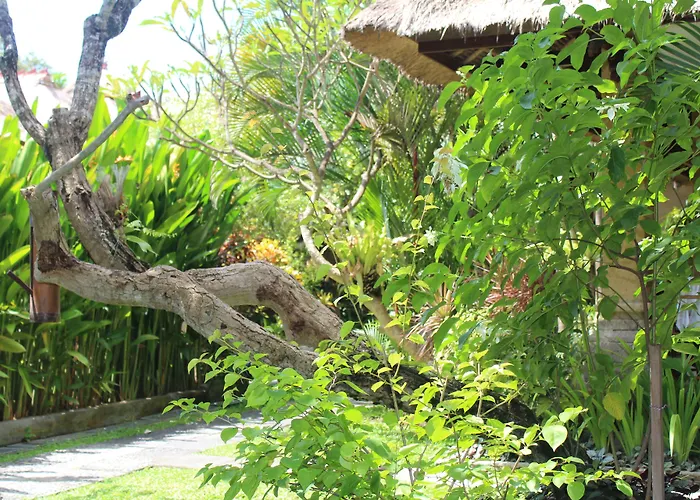 Hotel Bali Agung Village 3*